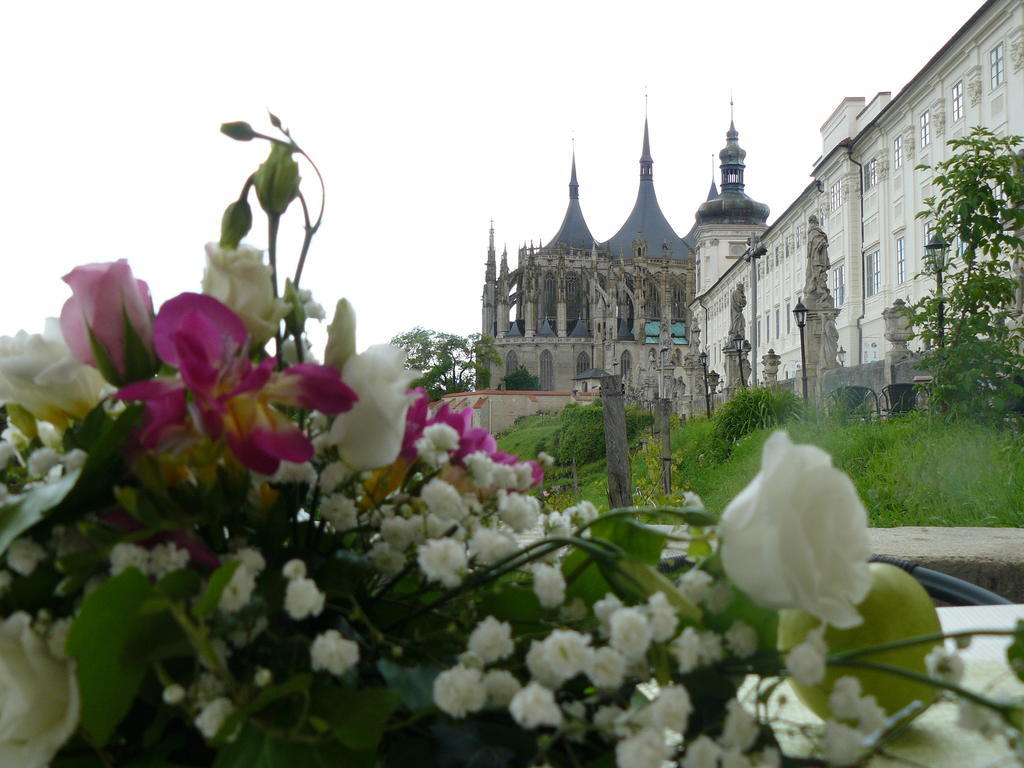 Vila U Varhanare Kutná Hora Exterior foto
